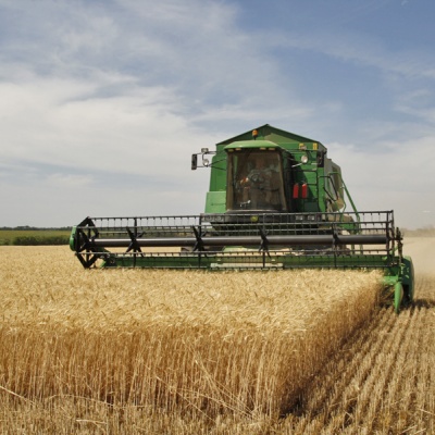 Harvest