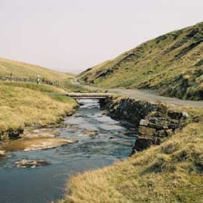 Tyne Walk Image