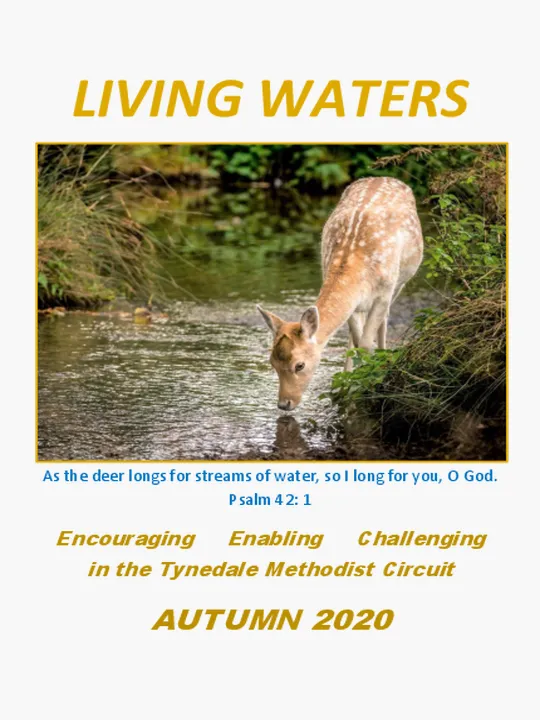 Autumn 2020 Edition
