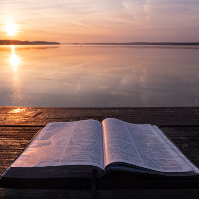 Bible study sun